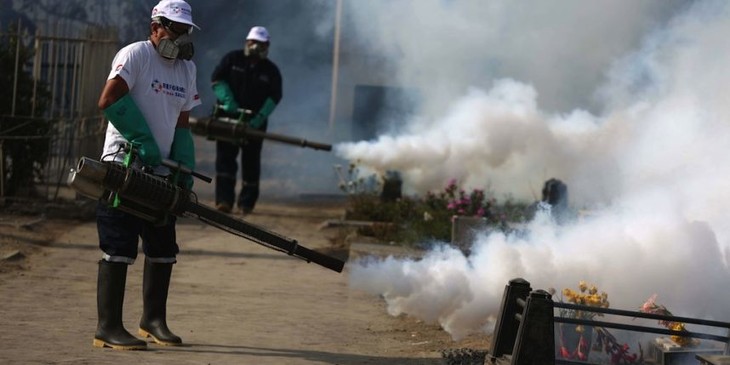 Virus Zika : l’épidémie progresse - ảnh 1